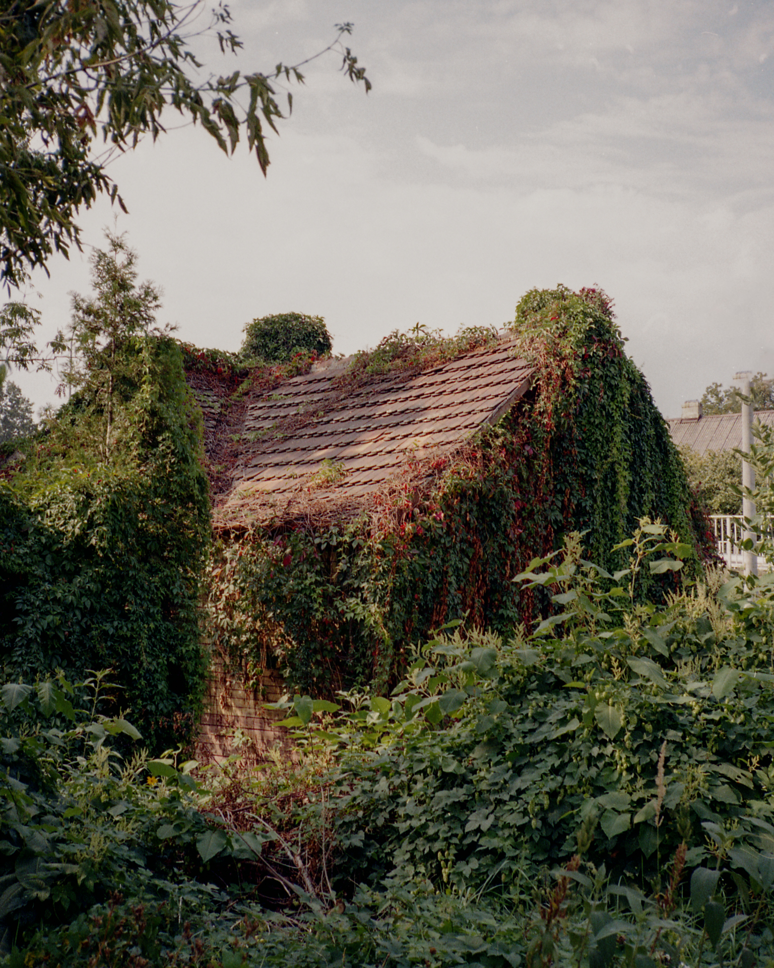 Mały czy średni format?