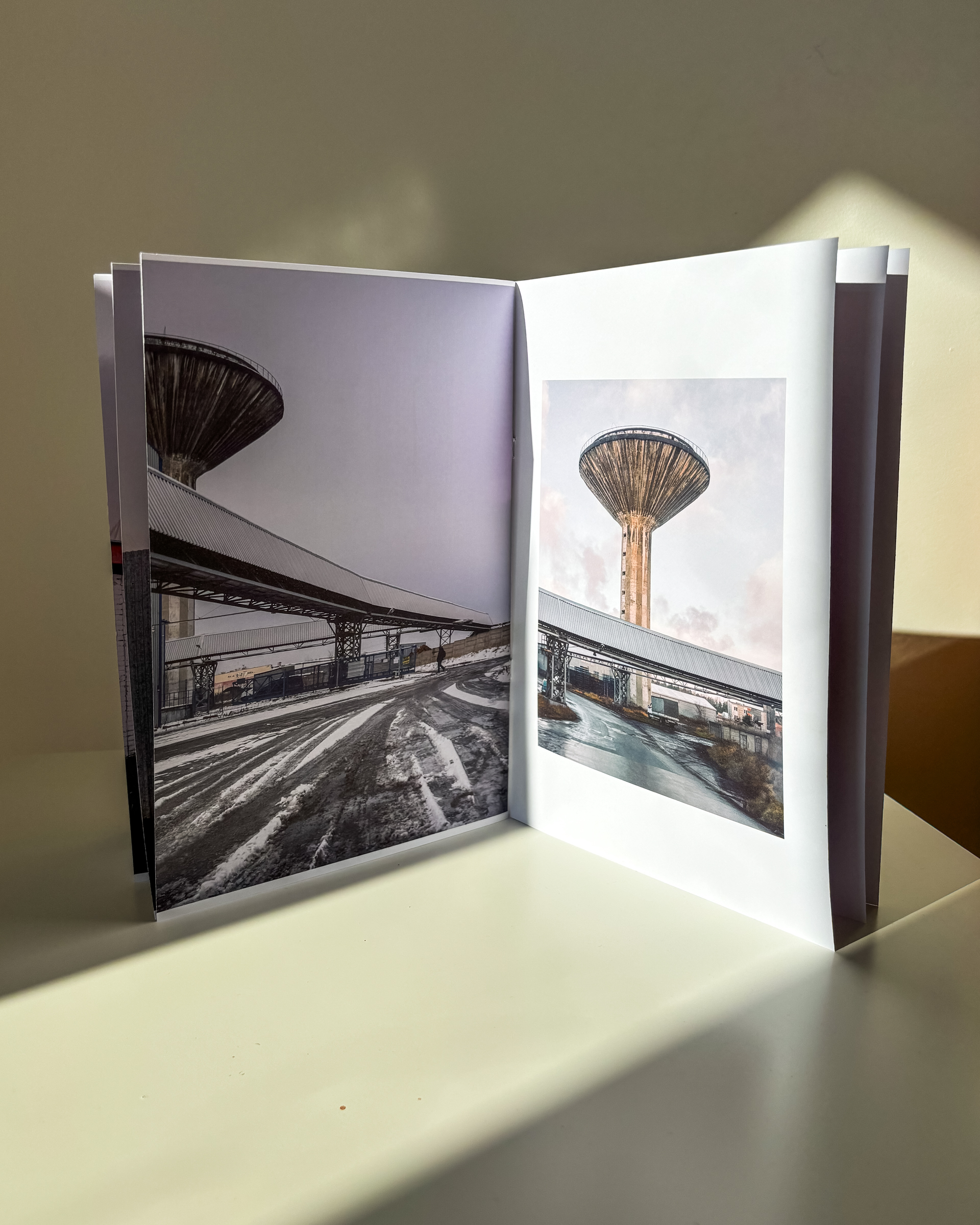 Stwórz swojego Zina.